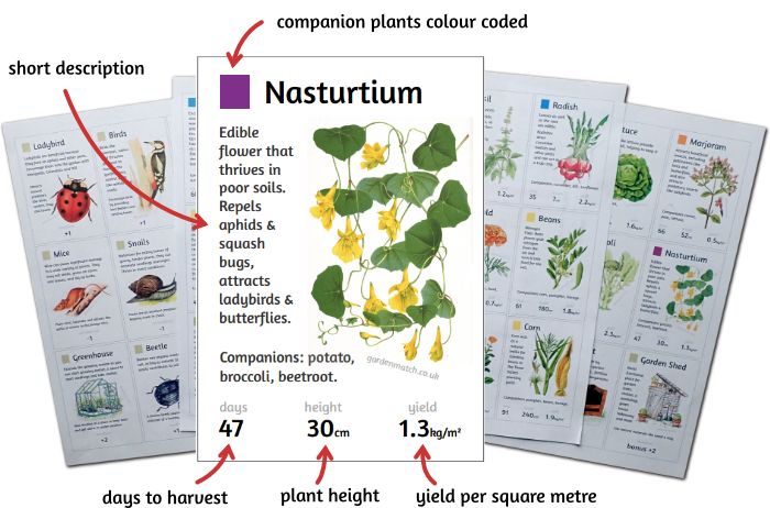 cards isolated and detail