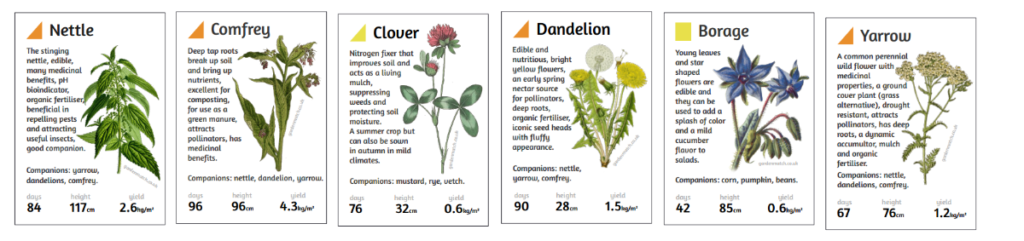 plants for diy liquid plant feed