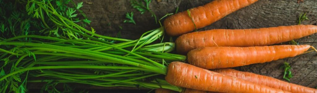 Vegetables to Grow in Sandy Soil