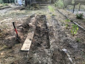 buiilding vegetable bed sandy soil